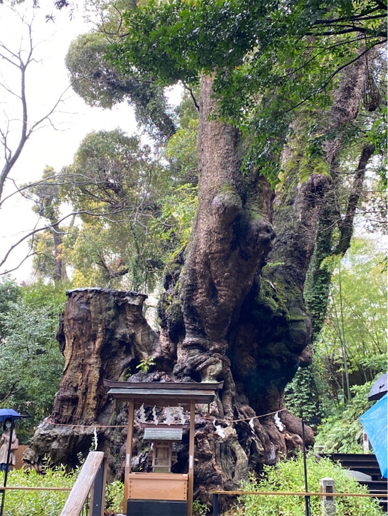 f:id:wakuwakushincha:20230402211236j:image