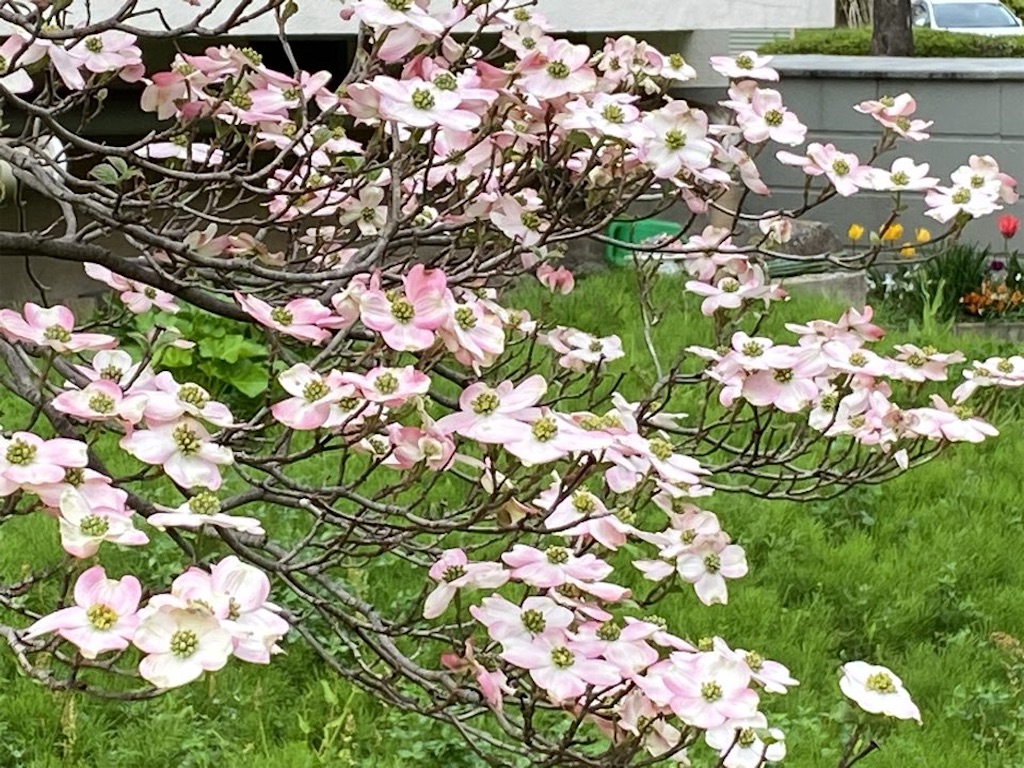 f:id:wakuwakushincha:20230420213150j:image f:id:wakuwakushincha:20230420213150j:image