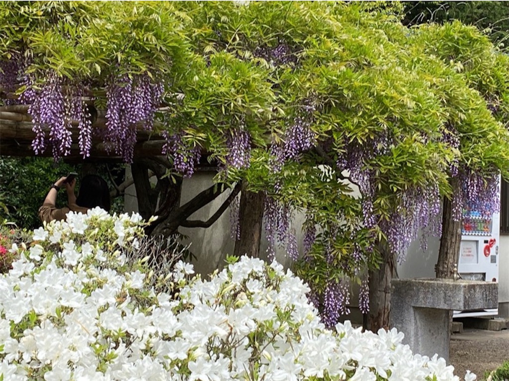 f:id:wakuwakushincha:20230507011941j:image