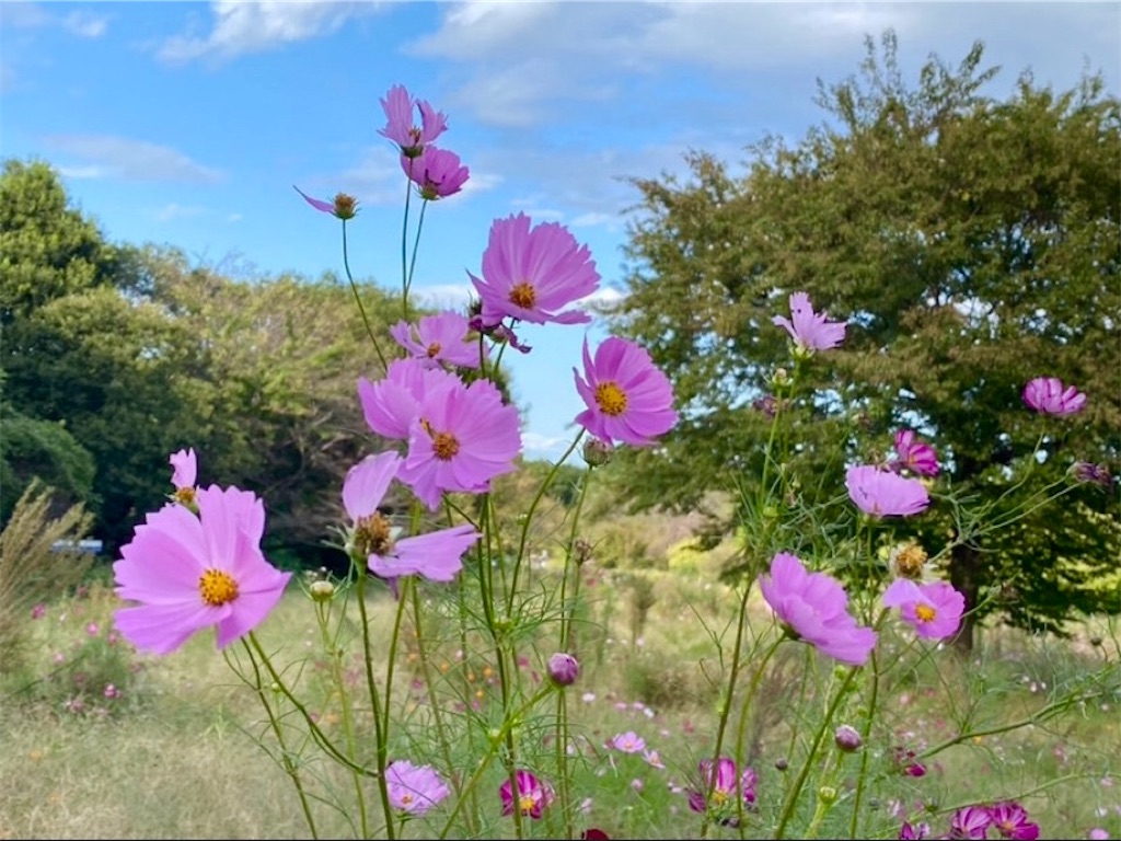 f:id:wakuwakushincha:20231010222136j:image f:id:wakuwakushincha:20231010222136j:image