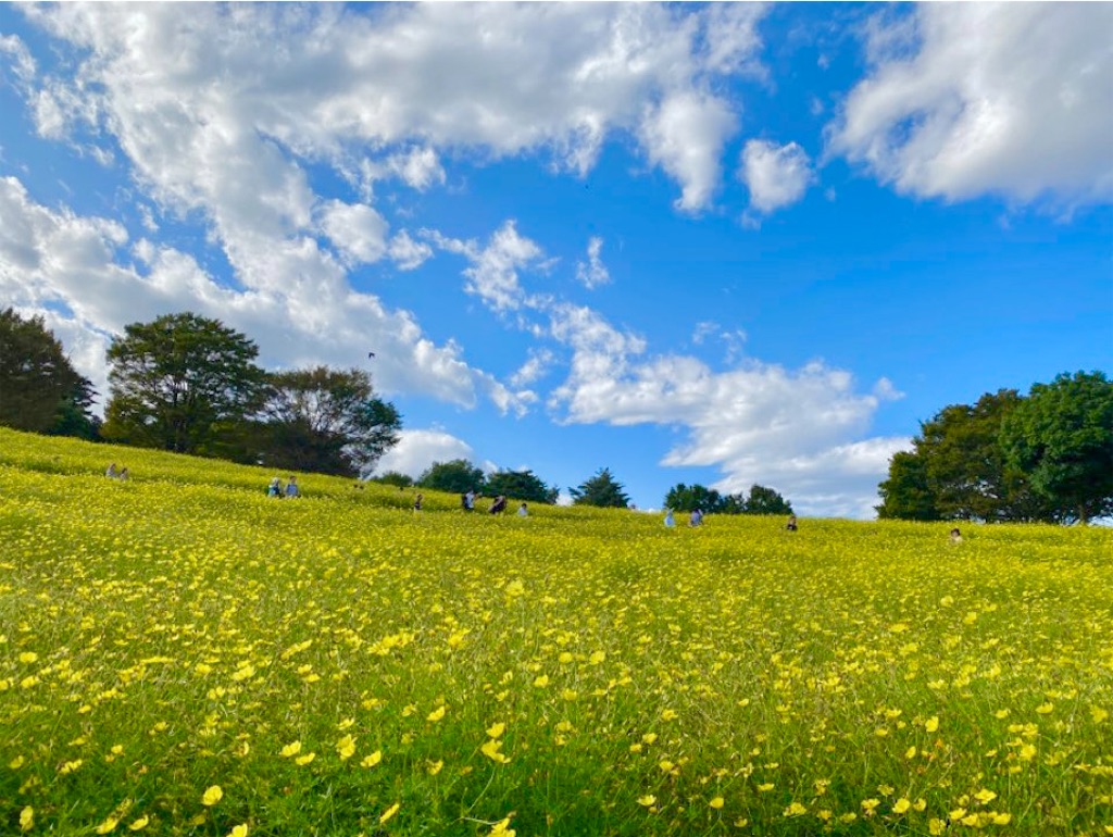 f:id:wakuwakushincha:20231013222504j:image f:id:wakuwakushincha:20231013222504j:image