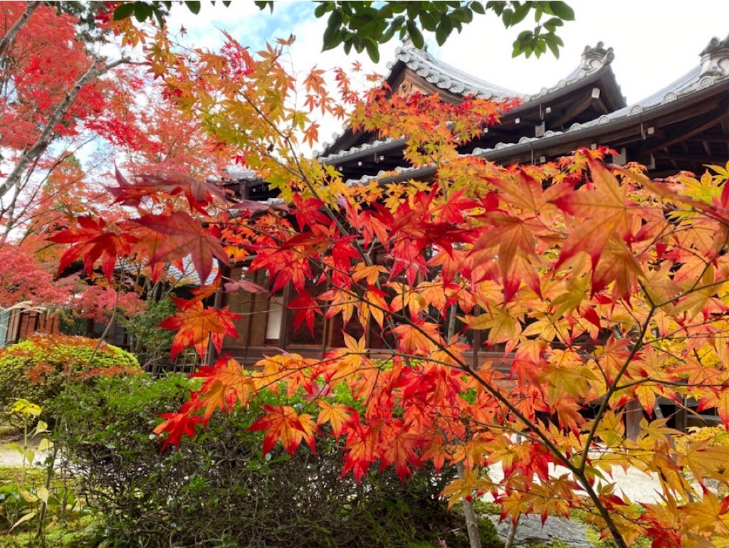 f:id:wakuwakushincha:20231203105134j:image f:id:wakuwakushincha:20231203105134j:image