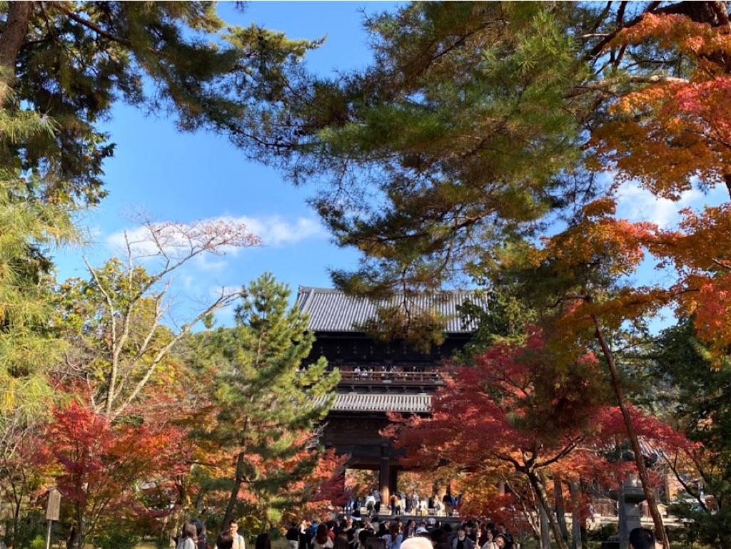 f:id:wakuwakushincha:20231203112842j:image