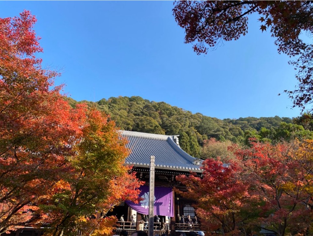 f:id:wakuwakushincha:20231203122413j:image