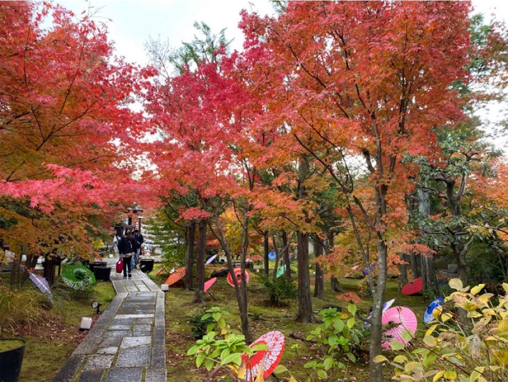 f:id:wakuwakushincha:20231207212809j:image f:id:wakuwakushincha:20231207212809j:image