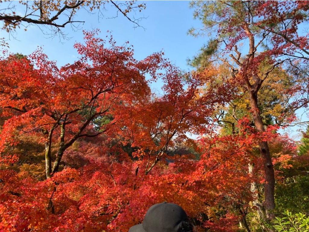 f:id:wakuwakushincha:20231208234443j:image f:id:wakuwakushincha:20231208234443j:image