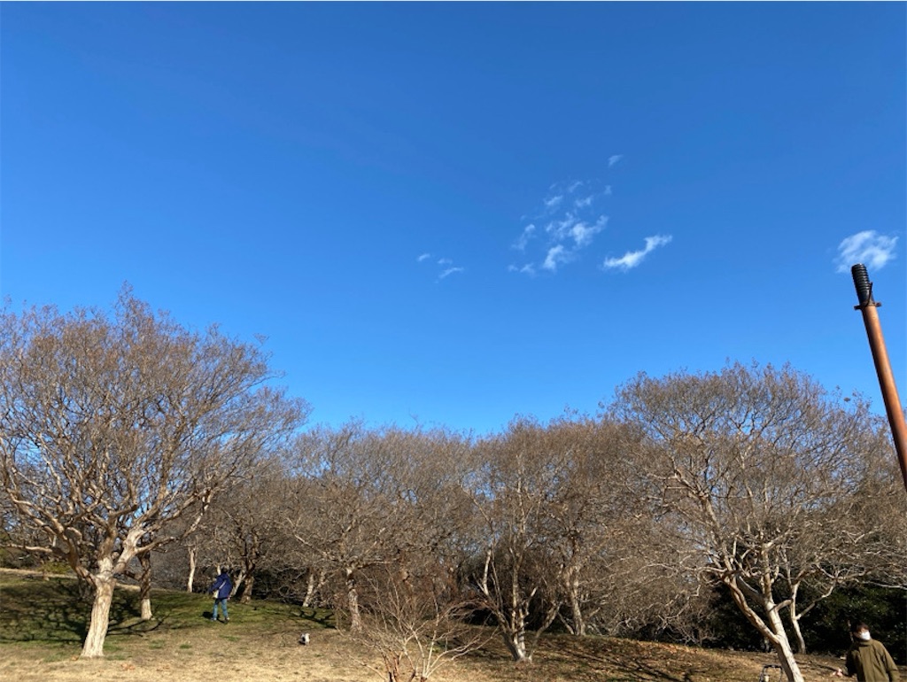 f:id:wakuwakushincha:20240113161756j:image f:id:wakuwakushincha:20240113161756j:image