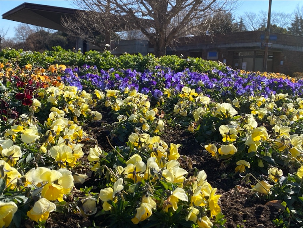 f:id:wakuwakushincha:20240113162455j:image f:id:wakuwakushincha:20240113162455j:image