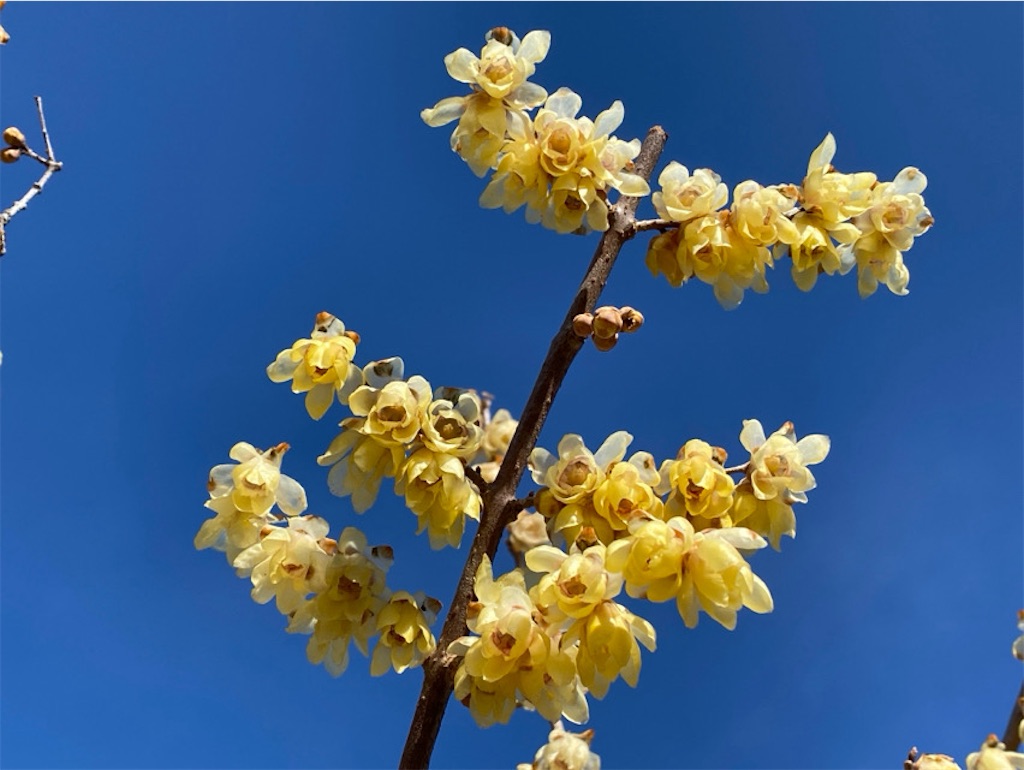 f:id:wakuwakushincha:20240113181902j:image f:id:wakuwakushincha:20240113181902j:image