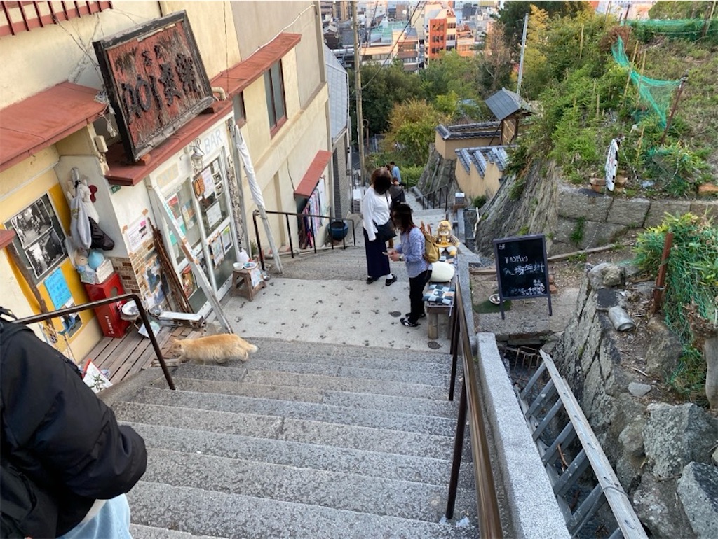 f:id:wakuwakushincha:20240128222516j:image f:id:wakuwakushincha:20240128222516j:image