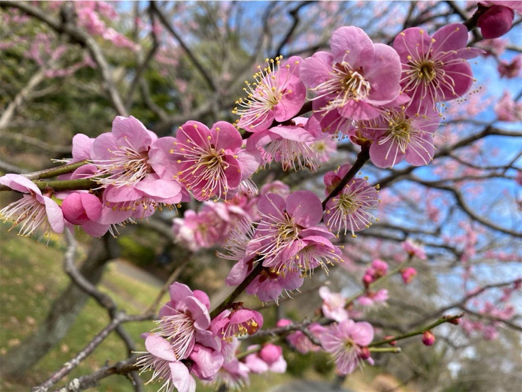 f:id:wakuwakushincha:20240220205306j:image f:id:wakuwakushincha:20240220205306j:image