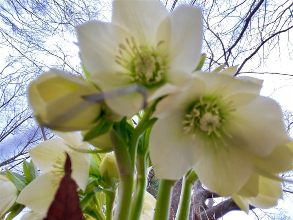 f:id:wakuwakushincha:20240221205935j:image f:id:wakuwakushincha:20240221205935j:image