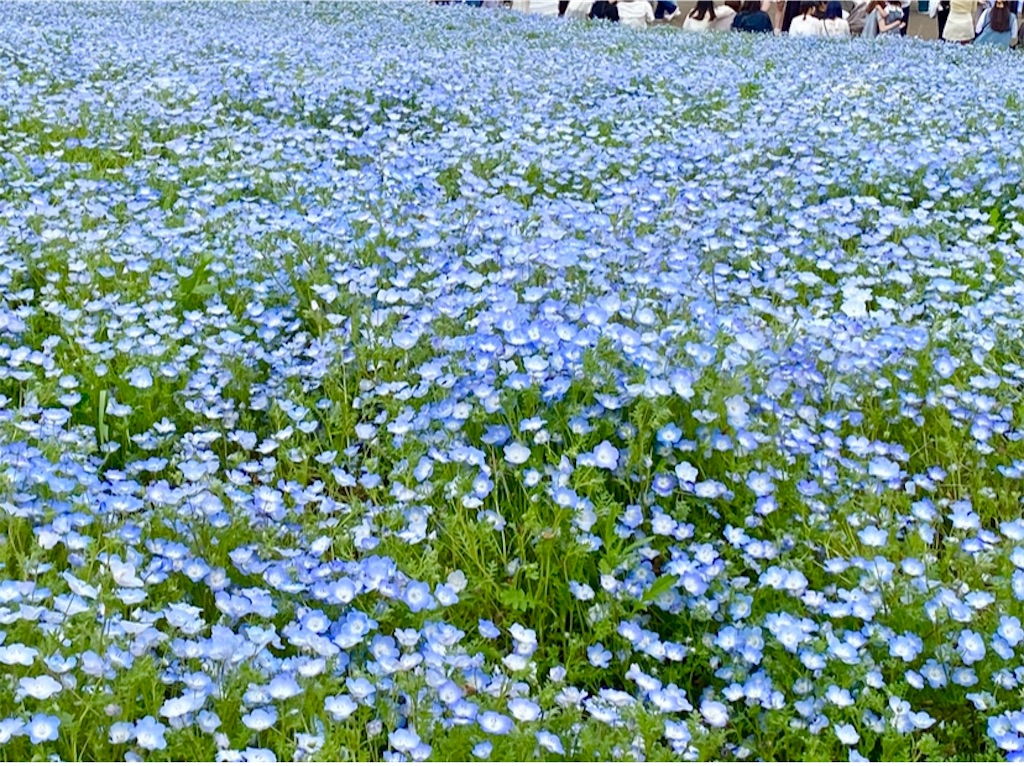 f:id:wakuwakushincha:20240501093336j:image f:id:wakuwakushincha:20240501093336j:image