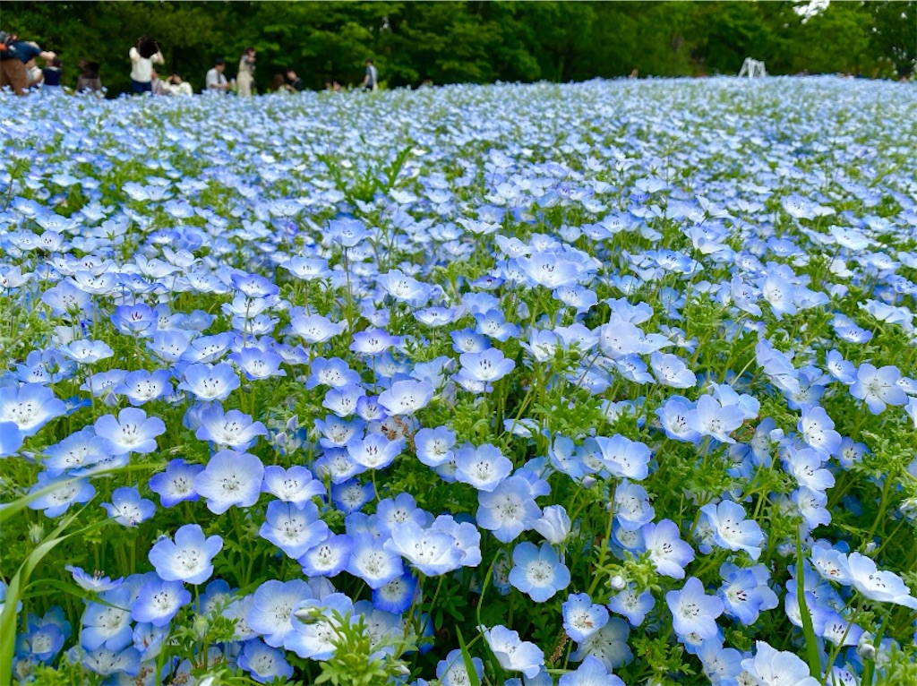 f:id:wakuwakushincha:20240501103136j:image f:id:wakuwakushincha:20240501103136j:image