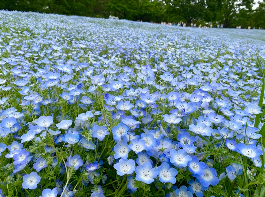 f:id:wakuwakushincha:20240501103139j:image f:id:wakuwakushincha:20240501103139j:image