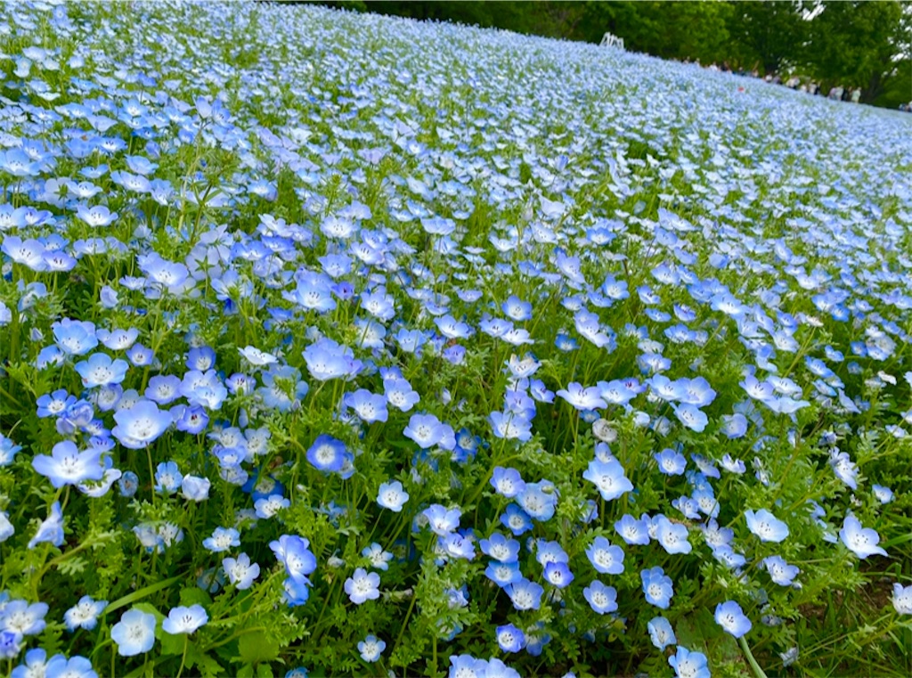 f:id:wakuwakushincha:20240501105241j:image f:id:wakuwakushincha:20240501105241j:image