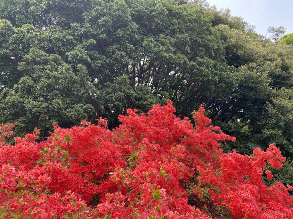 f:id:wakuwakushincha:20240512201158j:image
