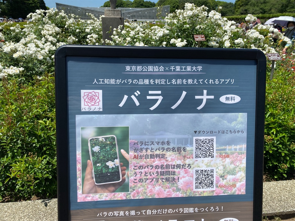 f:id:wakuwakushincha:20240514203951j:image