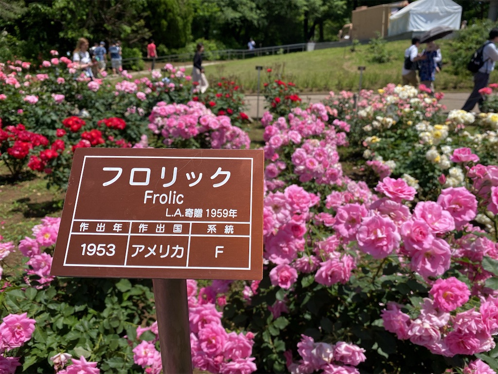 f:id:wakuwakushincha:20240518132248j:image