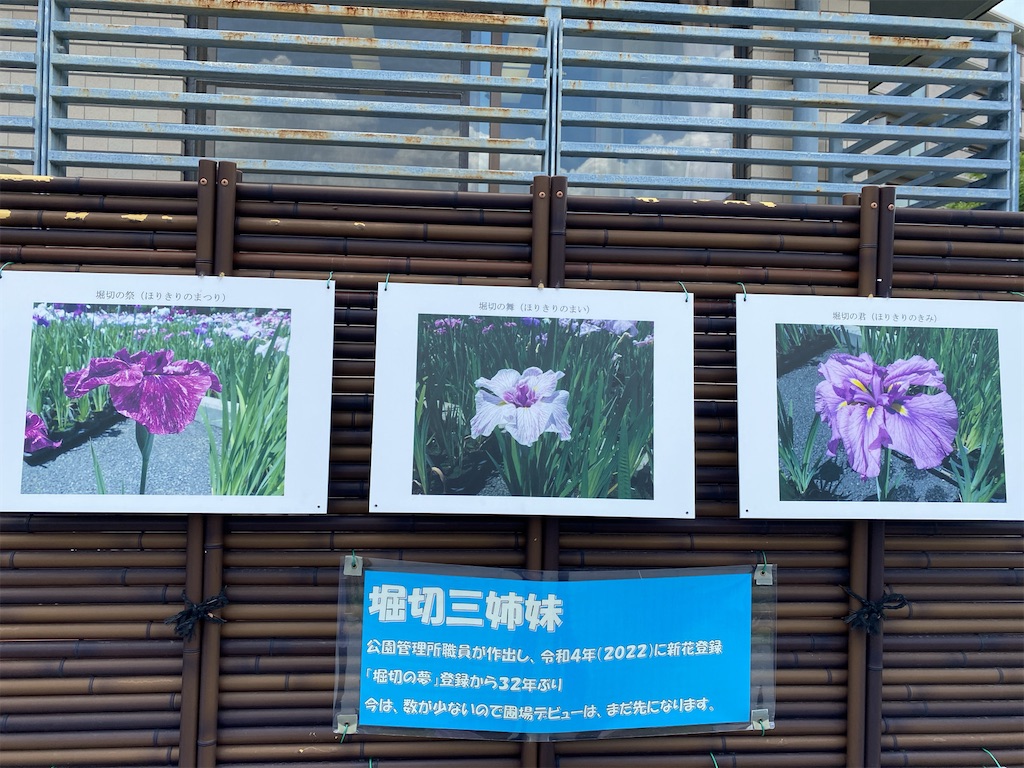 f:id:wakuwakushincha:20240607221215j:image
