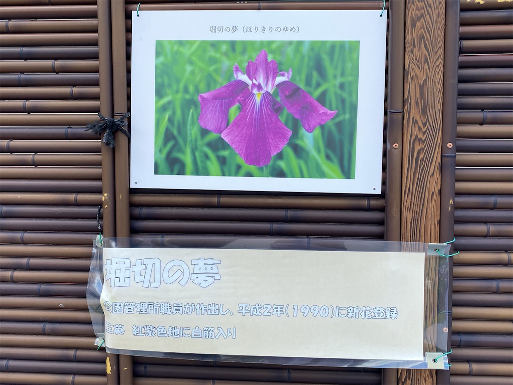f:id:wakuwakushincha:20240607221421j:image