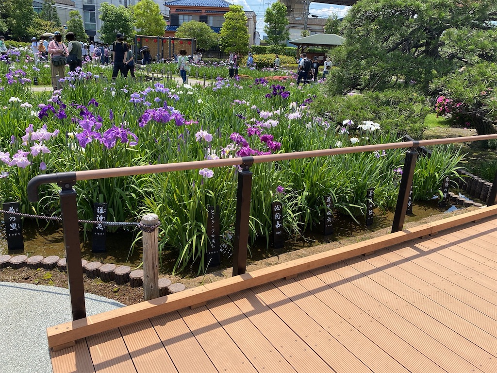 f:id:wakuwakushincha:20240608234024j:image