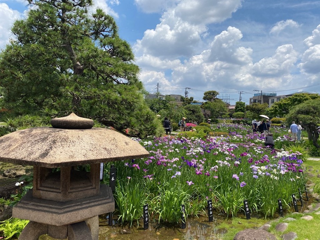 f:id:wakuwakushincha:20240609091421j:image