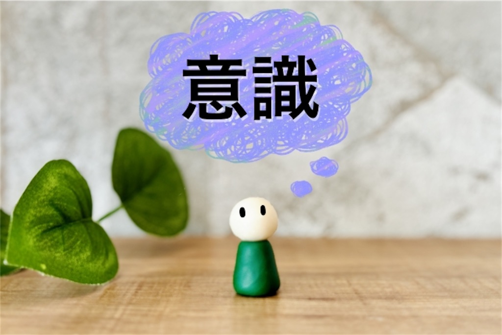 f:id:wakuwakushincha:20240629230005j:image