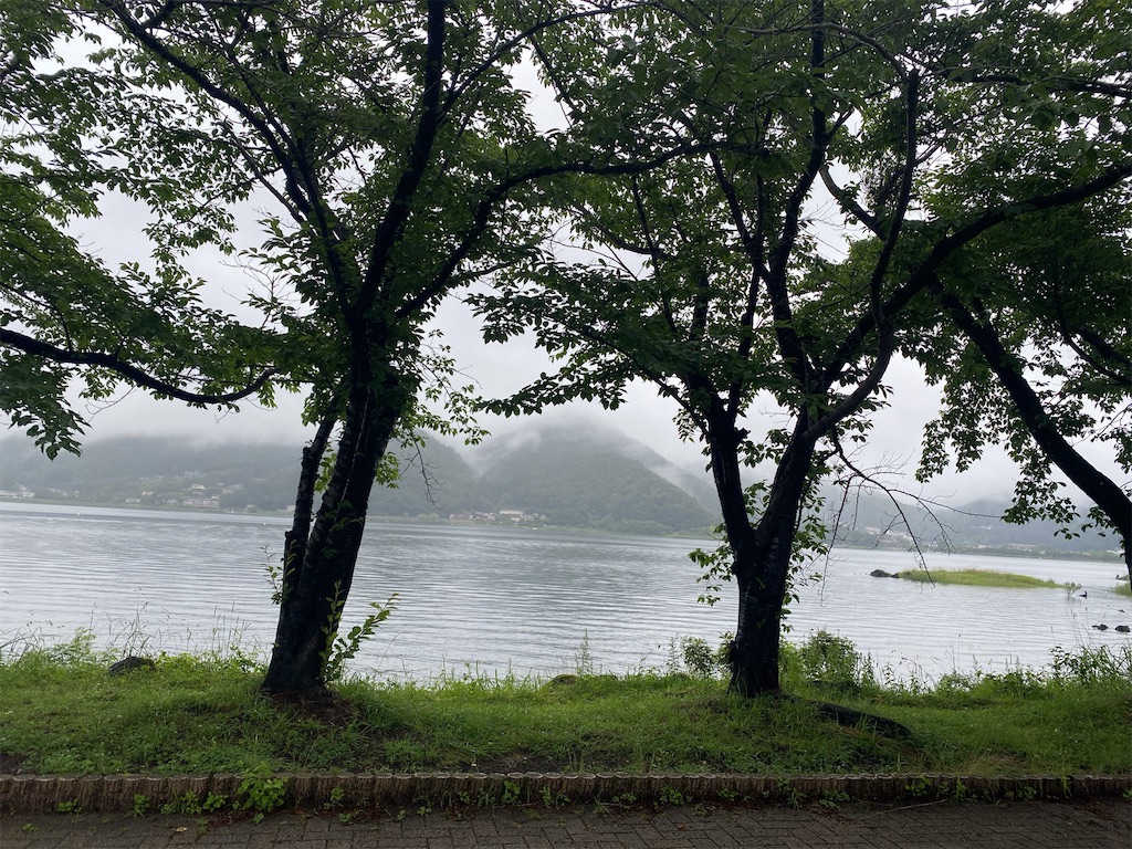 f:id:wakuwakushincha:20240630101122j:image