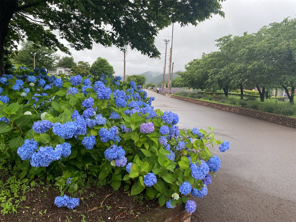 f:id:wakuwakushincha:20240630102113j:image