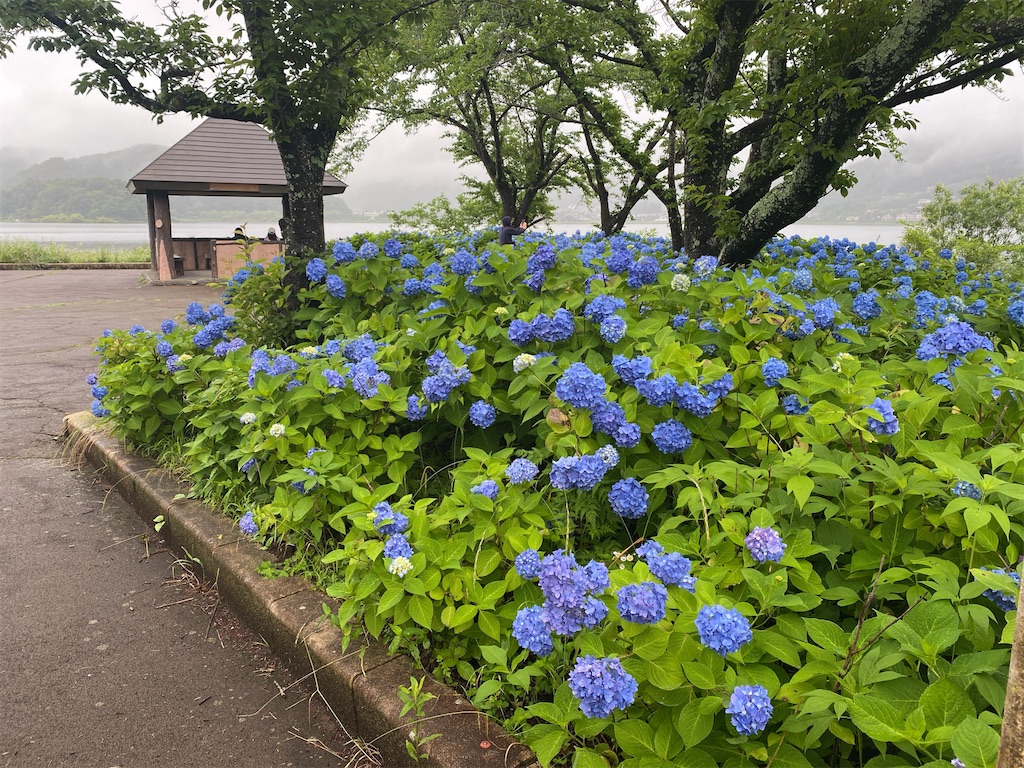 f:id:wakuwakushincha:20240630103608j:image