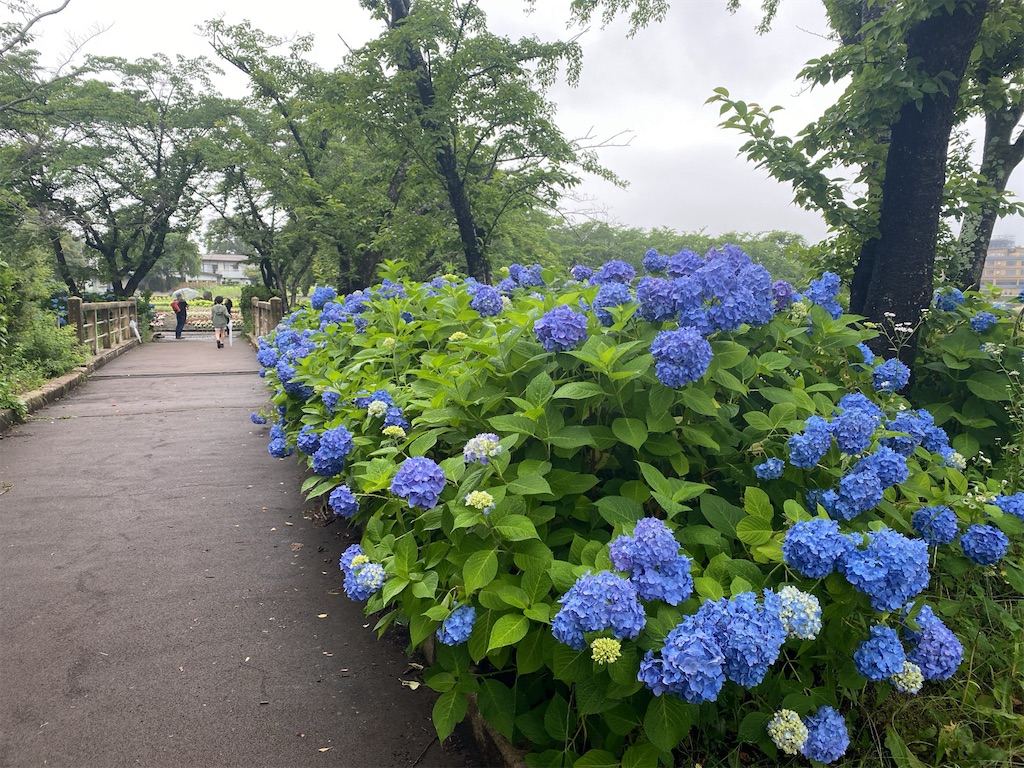 f:id:wakuwakushincha:20240630103822j:image