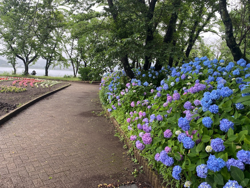f:id:wakuwakushincha:20240630103856j:image