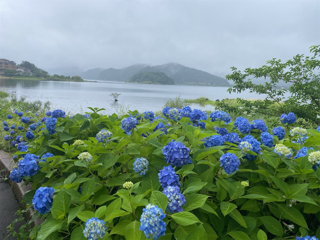 f:id:wakuwakushincha:20240630103859j:image