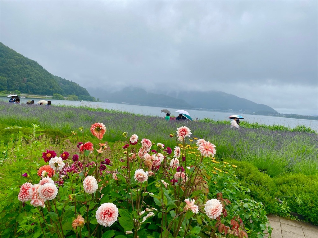 f:id:wakuwakushincha:20240630122945j:image