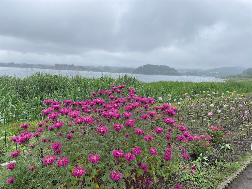 f:id:wakuwakushincha:20240630122953j:image