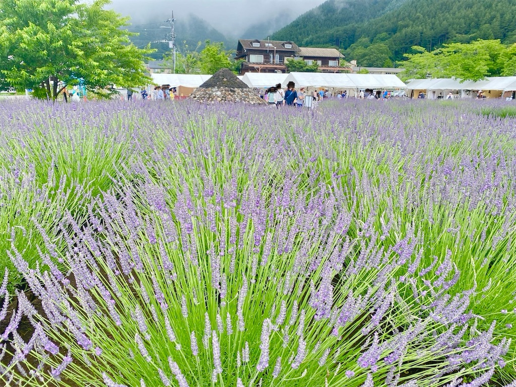 f:id:wakuwakushincha:20240630123928j:image