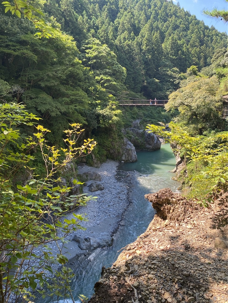 f:id:wakuwakushincha:20241102201838j:image f:id:wakuwakushincha:20241102201838j:image