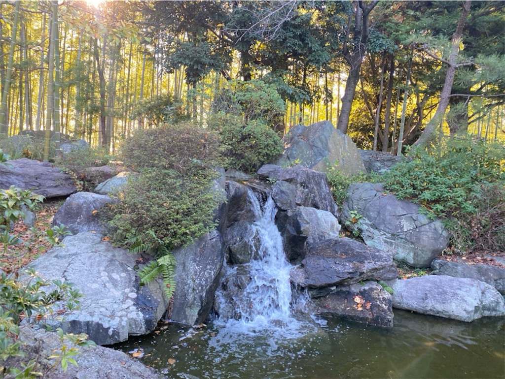 f:id:wakuwakushincha:20241203213636j:image f:id:wakuwakushincha:20241203213636j:image