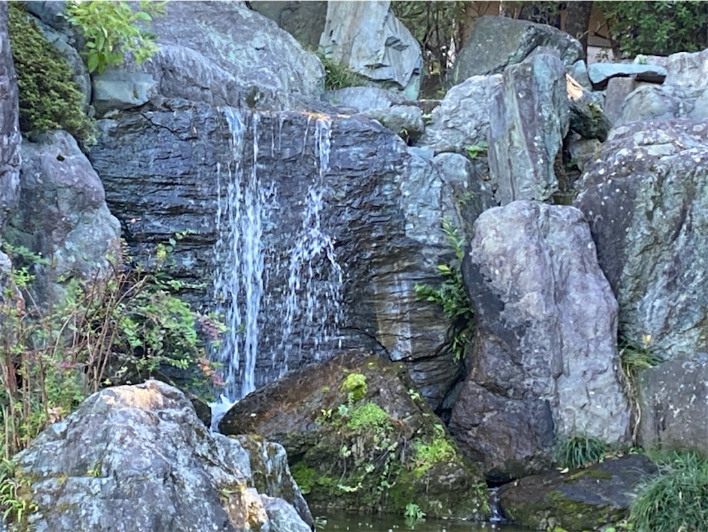 f:id:wakuwakushincha:20241203213745j:image f:id:wakuwakushincha:20241203213745j:image