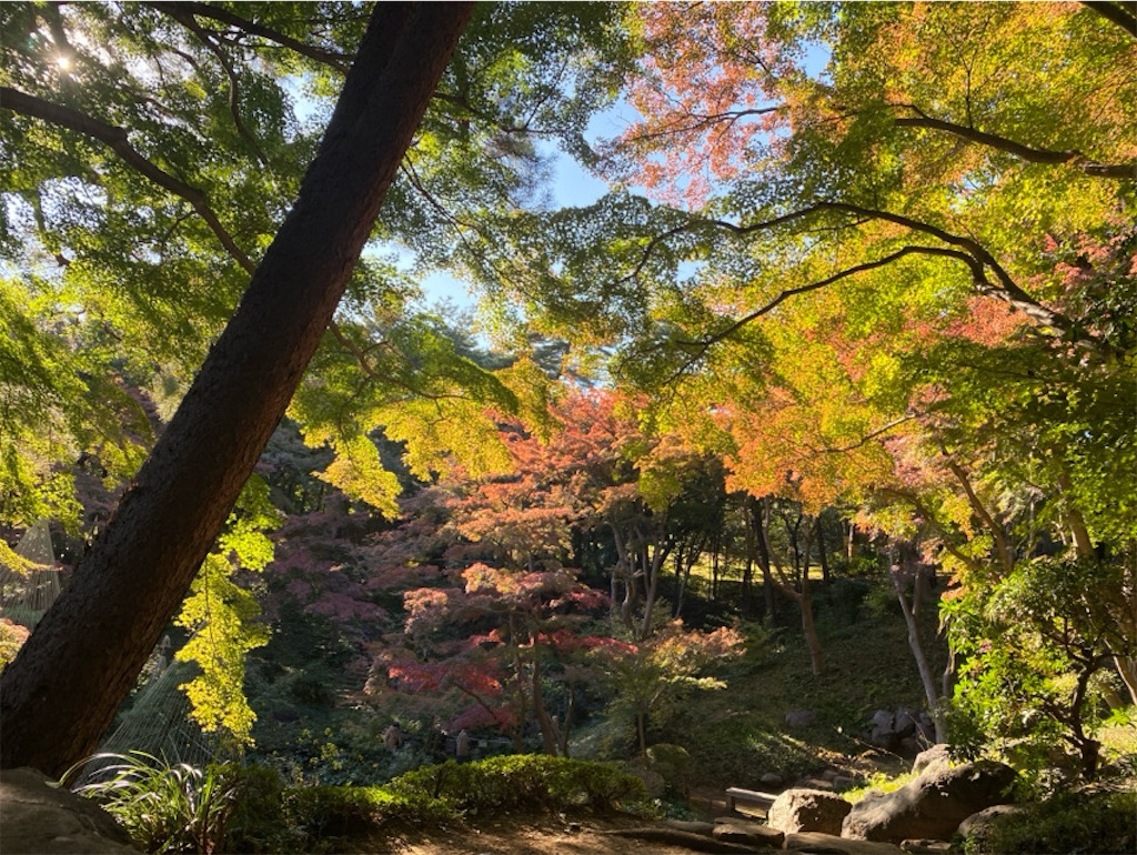 f:id:wakuwakushincha:20241203223615j:image f:id:wakuwakushincha:20241203223615j:image