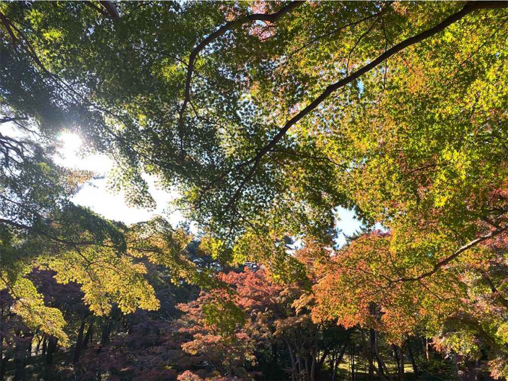 f:id:wakuwakushincha:20241203223620j:image f:id:wakuwakushincha:20241203223620j:image