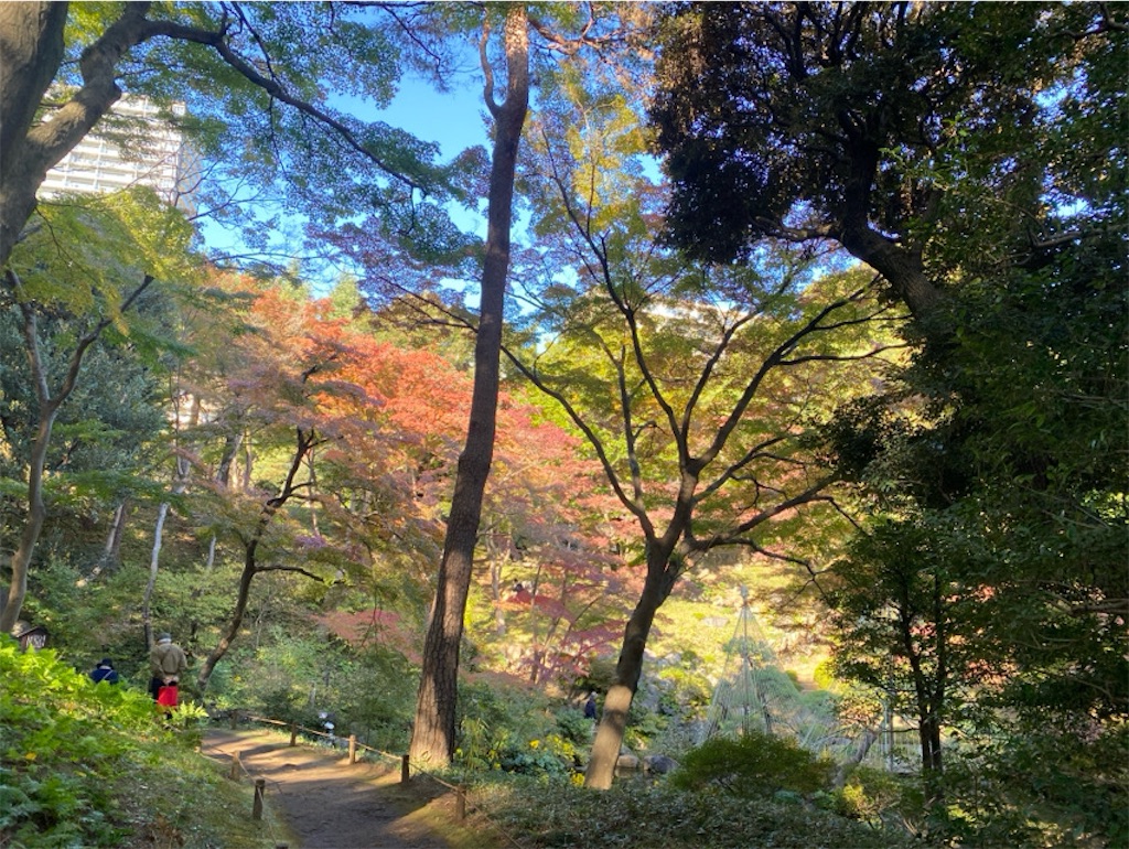 f:id:wakuwakushincha:20241203224108j:image