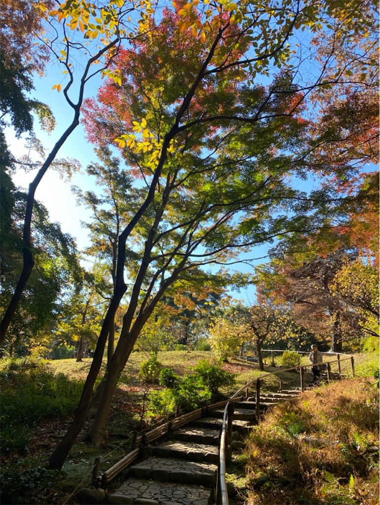 f:id:wakuwakushincha:20241204201002j:image
