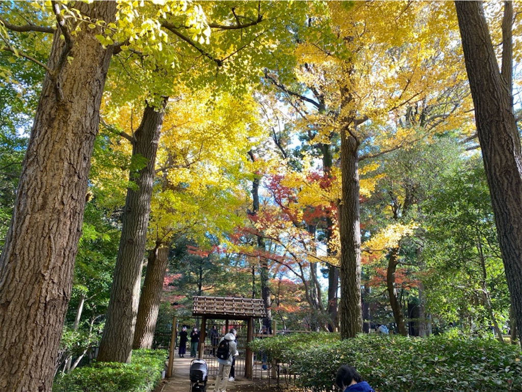 f:id:wakuwakushincha:20241206221748j:image