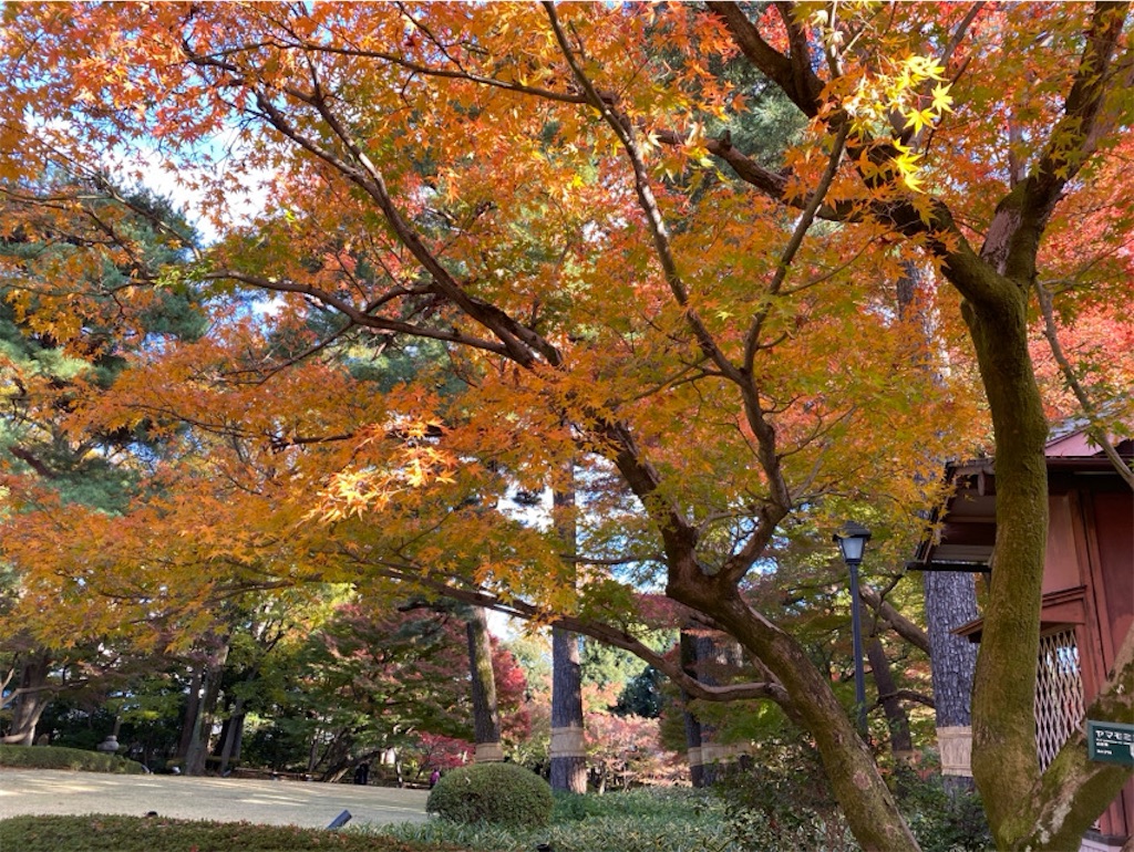 f:id:wakuwakushincha:20241206221955j:image f:id:wakuwakushincha:20241206221955j:image