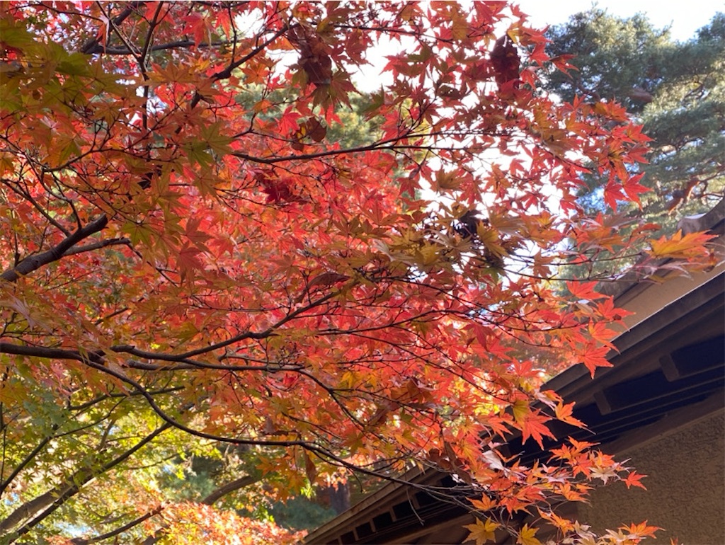 f:id:wakuwakushincha:20241206221959j:image f:id:wakuwakushincha:20241206221959j:image