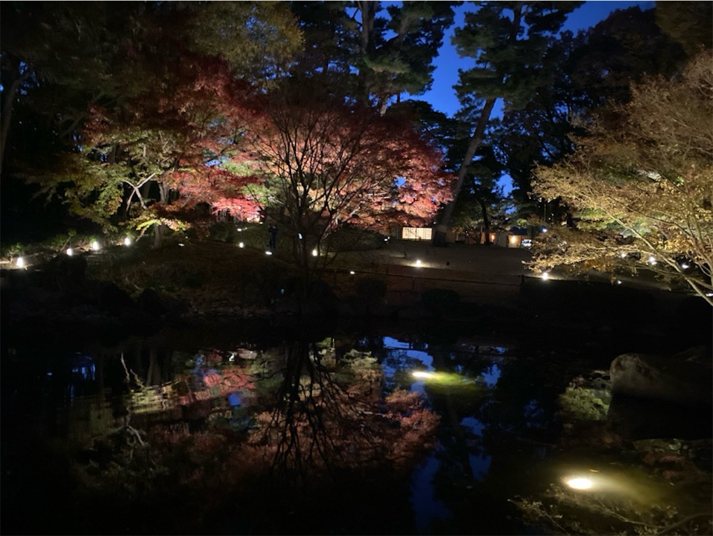 f:id:wakuwakushincha:20241206223839j:image