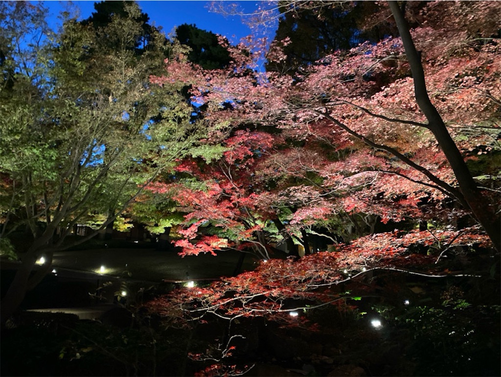 f:id:wakuwakushincha:20241206224154j:image f:id:wakuwakushincha:20241206224154j:image