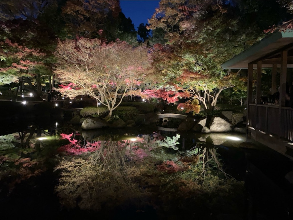 f:id:wakuwakushincha:20241206224342j:image